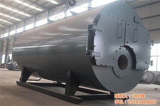 探究贯流燃气锅炉与金属软管的应用与咨询指南