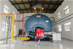 甘肃食品厂饮品公司6吨燃气锅炉实现低氮排放改造，引领行业绿色升级